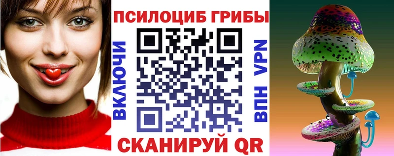 закладки  Перевоз  Псилоцибиновые грибы Cubensis 